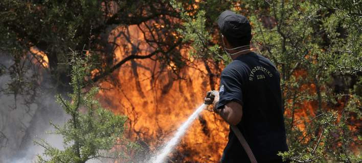 Φωτιά σε δασική έκταση της Μεσσηνίας